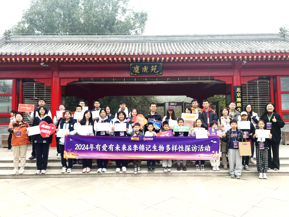 图片 8