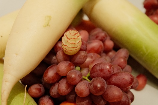 桌子上的水果和蔬菜

AI 生成的内容可能不正确。