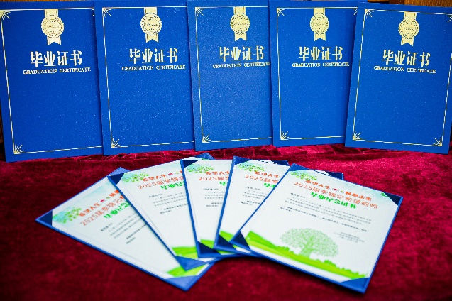 图片 11